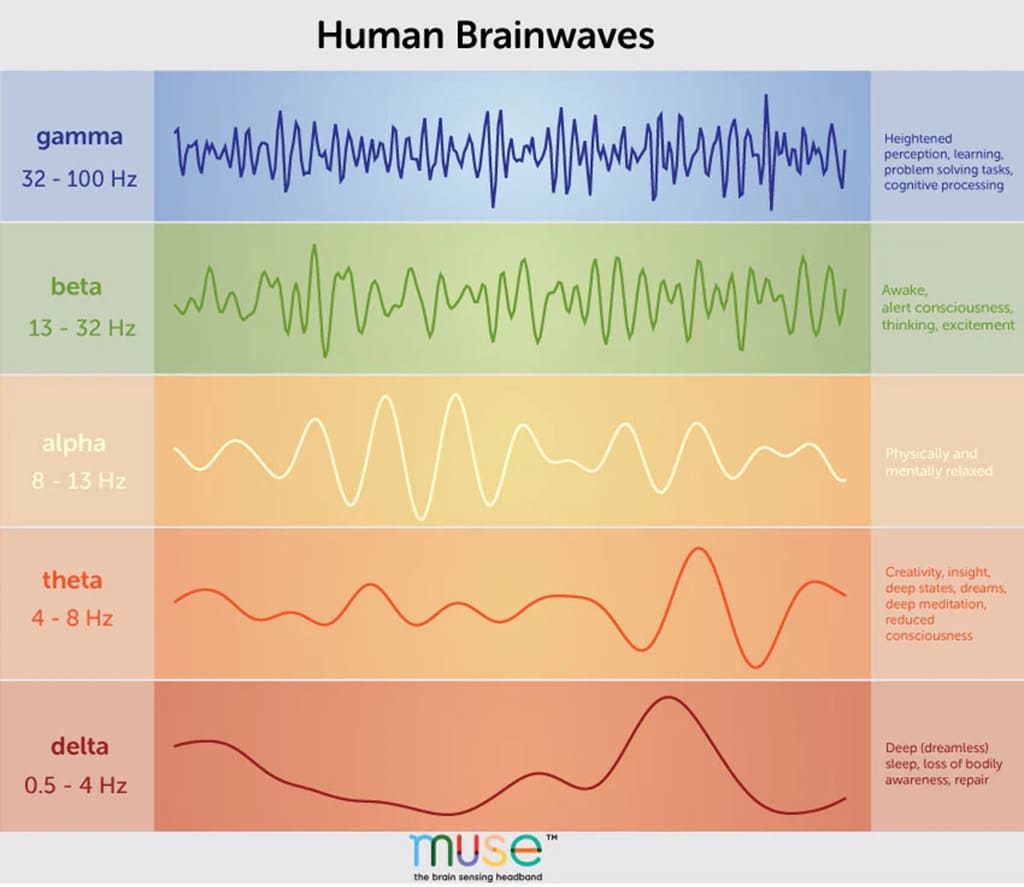 Brain waves